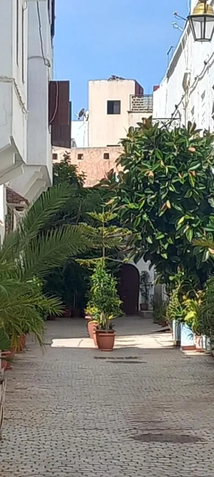 La rue Lalla Hannou devant la maison